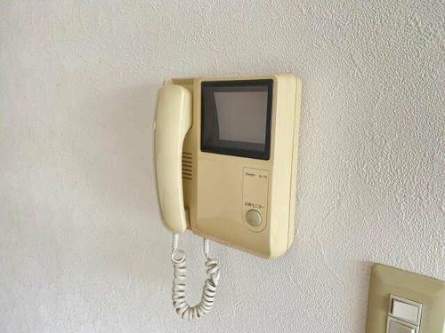 ガウディ オグリのその他画像