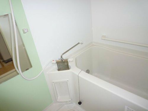 レオネクストM 津島104の風呂