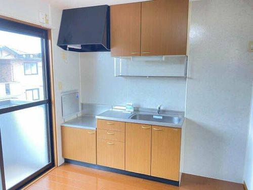 ウィルモア南島B棟のキッチン