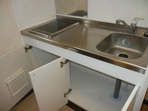 レオネクストサクラコーポ202のキッチン