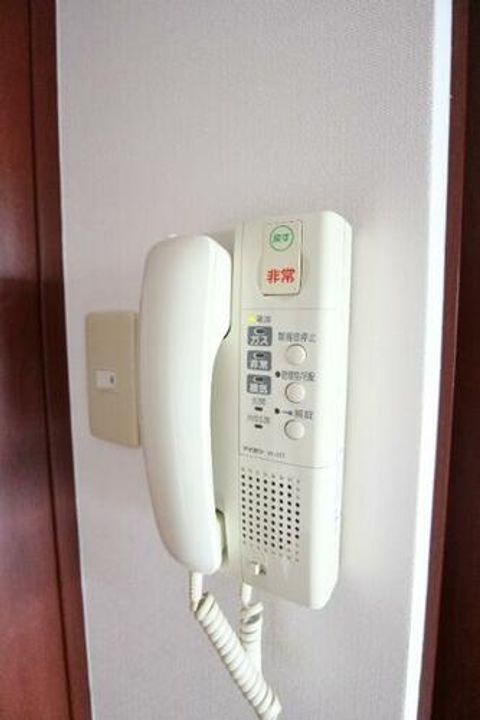 アーリントンのその他画像