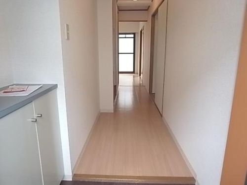 グレーシィ東生駒303の玄関
