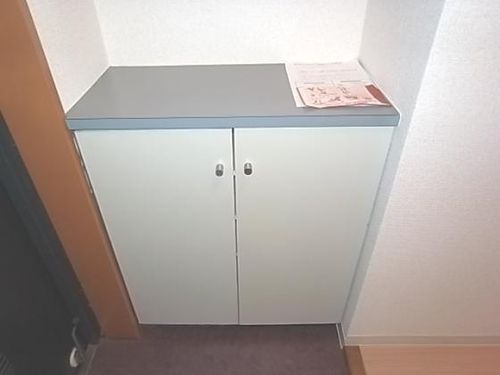 グレーシィ東生駒303の内装