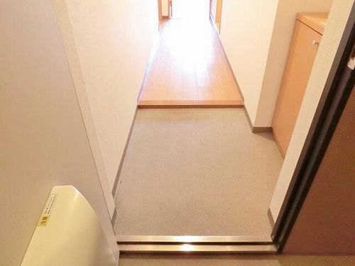 滋賀県湖南市石部南8丁目(マンション)の賃貸物件の玄関