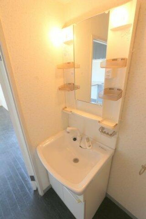 大阪府豊中市岡上の町2丁目(マンション)の賃貸物件302の内装