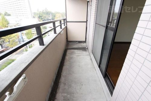 アベニール姫ヶ池602の内装