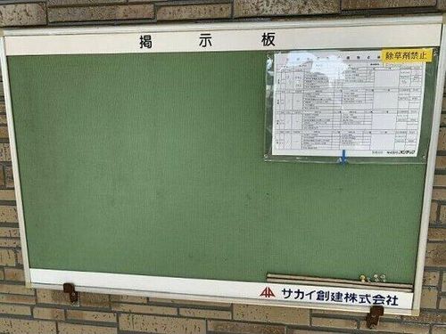 Meson Peramgi203のその他画像