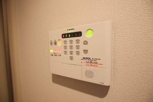 クリサンテーモのその他画像