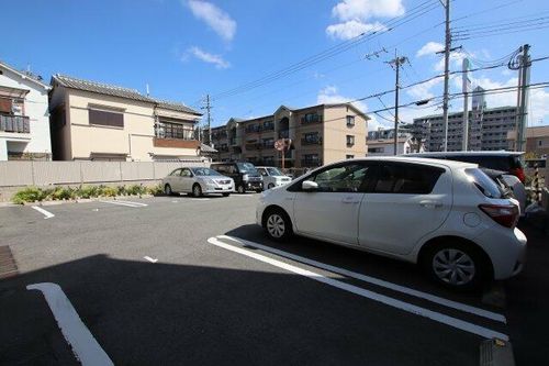 クリサンテーモのその他画像