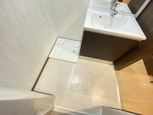 ルシアマルセのその他画像