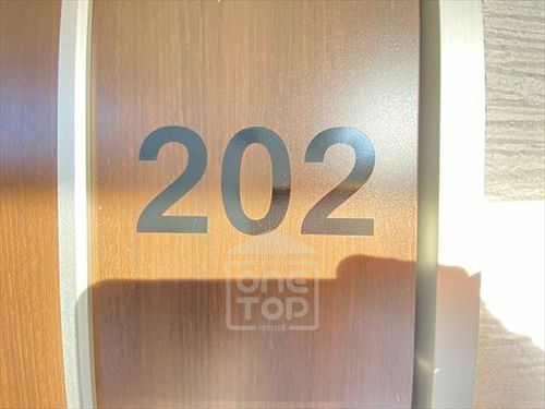 ルシアマルセのその他画像