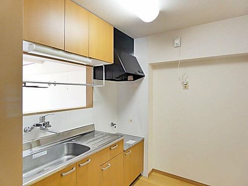 ファミリーハイツ柴田203のキッチン