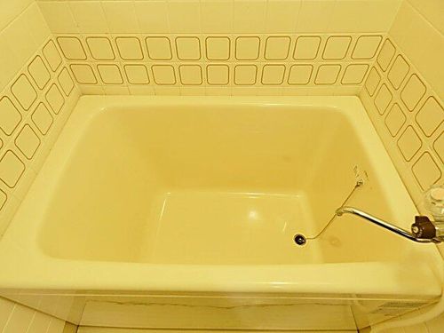 ファミリーハイツ柴田203の風呂