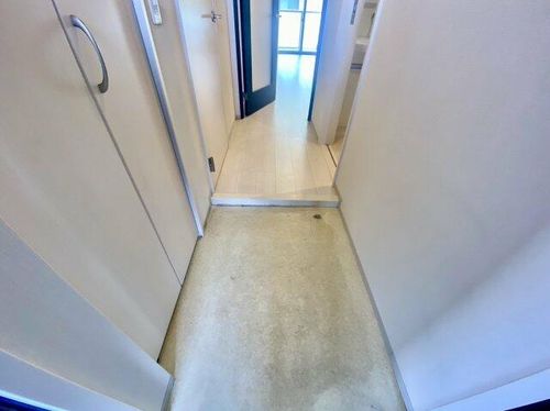 大阪府八尾市宮町1丁目(マンション)の賃貸物件の玄関