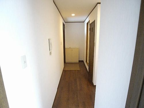 メゾン金城105の玄関