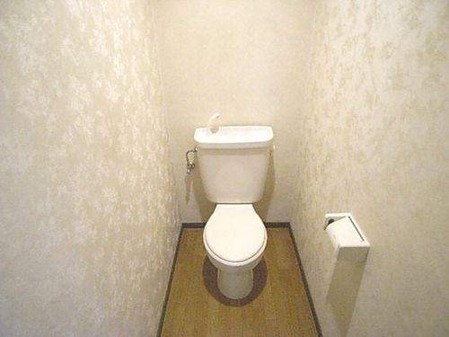 メゾン金城105の風呂