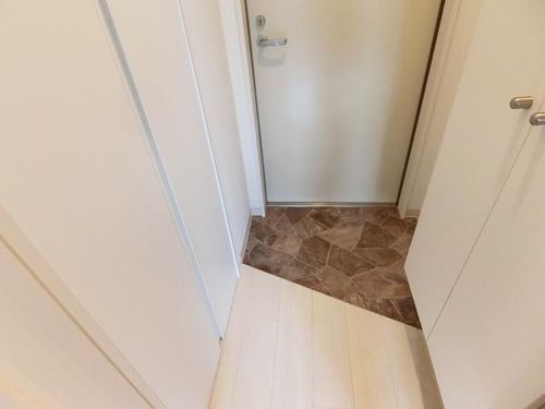 サンメゾン藤井寺203の玄関