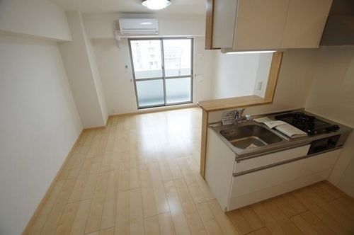 プラチナコート2のその他画像