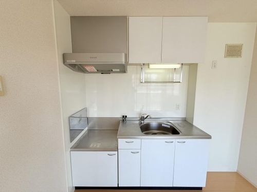 ウォーター・リリー 守山市伊勢町のキッチン