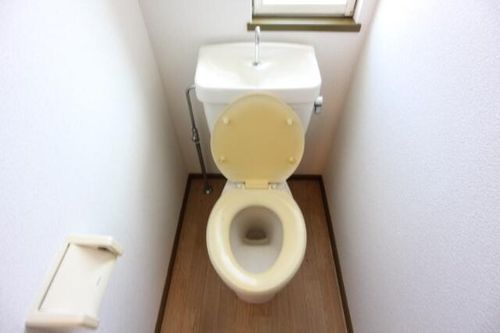 ガーデンハウスカローサの内装