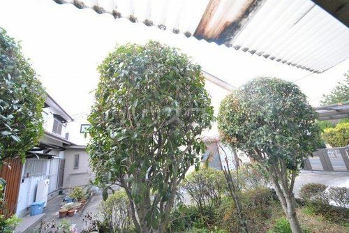 第2津中文化のその他画像