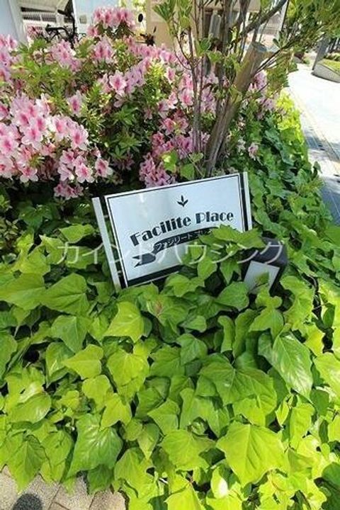 ファシリートプレイスのその他画像