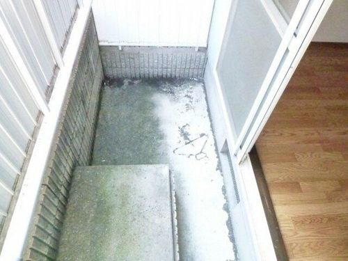 エステート松原Ⅱの内装