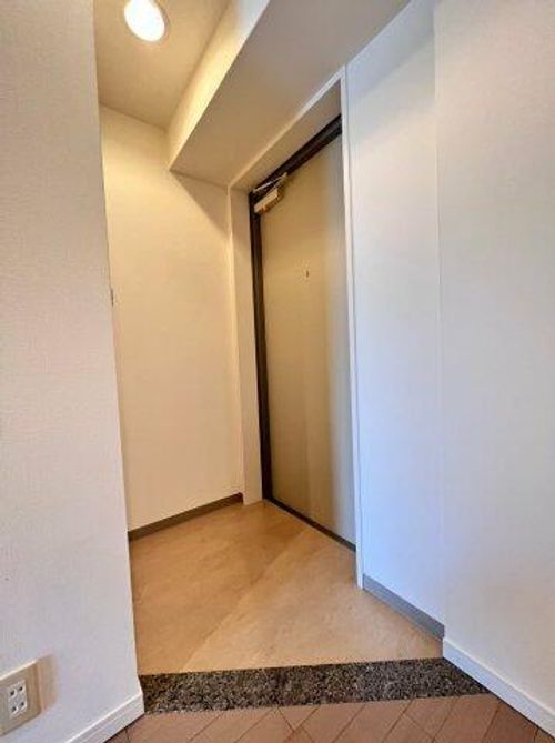 大阪府堺市中区深井清水町(マンション)の賃貸物件の玄関