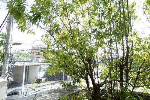 大阪府箕面市今宮3丁目(マンション)の賃貸物件のその他画像