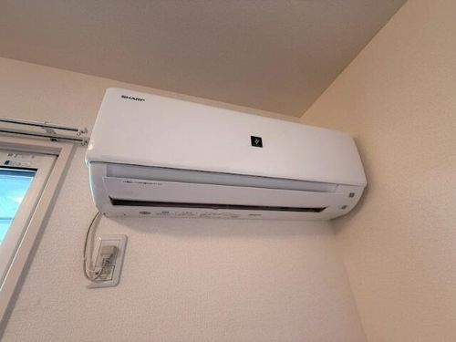 Elegrantiaのその他画像