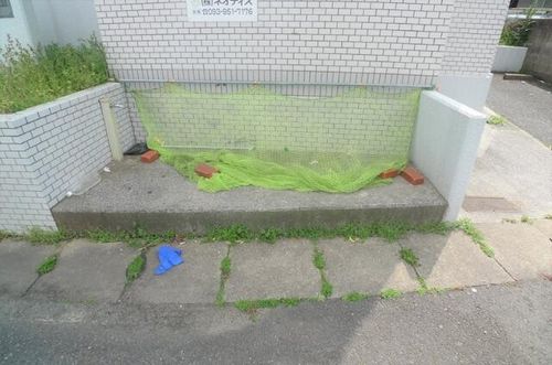 シャトレ穴生Ⅱのその他画像