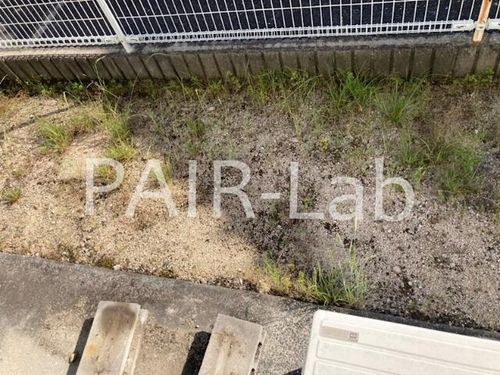 サンライフ森の西の内装