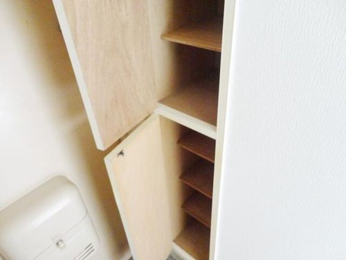 大阪府大阪市淀川区新北野3丁目(マンション)の賃貸物件の玄関