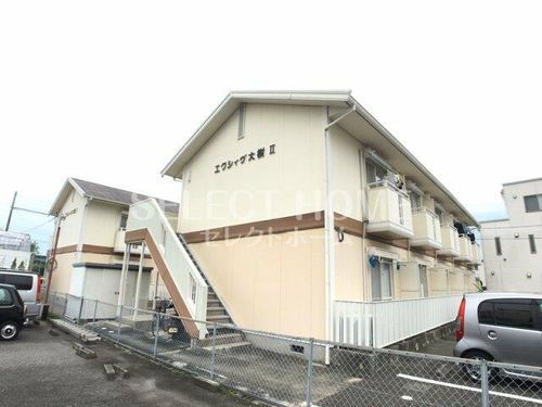 エクシィヴ大樹Ⅰ206の玄関