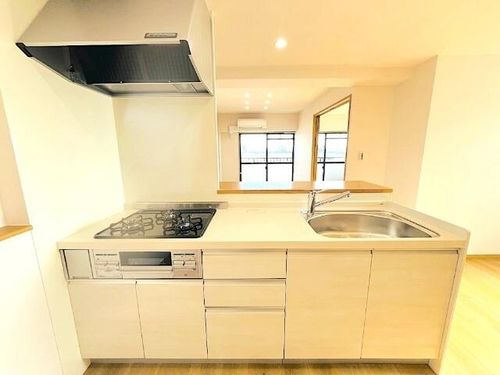 アートライフタケセイ 本館のキッチン