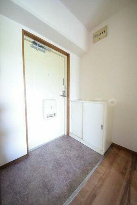 メゾンドゥレイナIIIの玄関