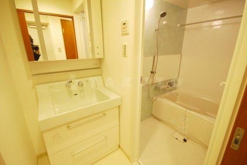 大阪府大阪市西区南堀江2丁目(マンション)の賃貸物件の内装