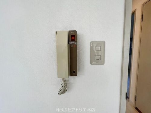 シロハイヌ吉田のその他画像