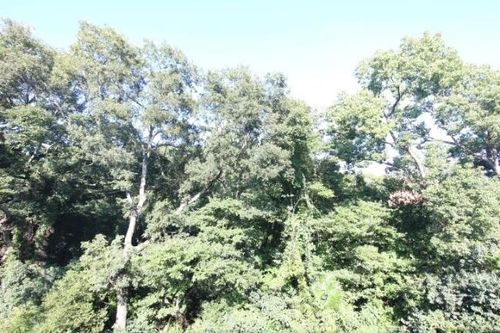 大幸ハイツのその他画像