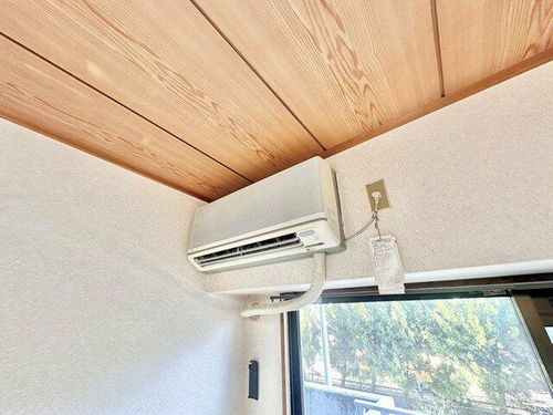 ルネ・アルマーニのその他画像