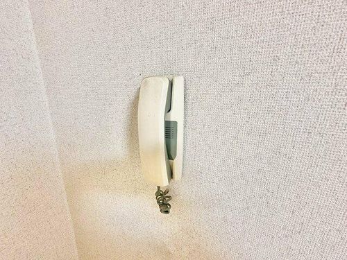 ルネ・アルマーニのその他画像