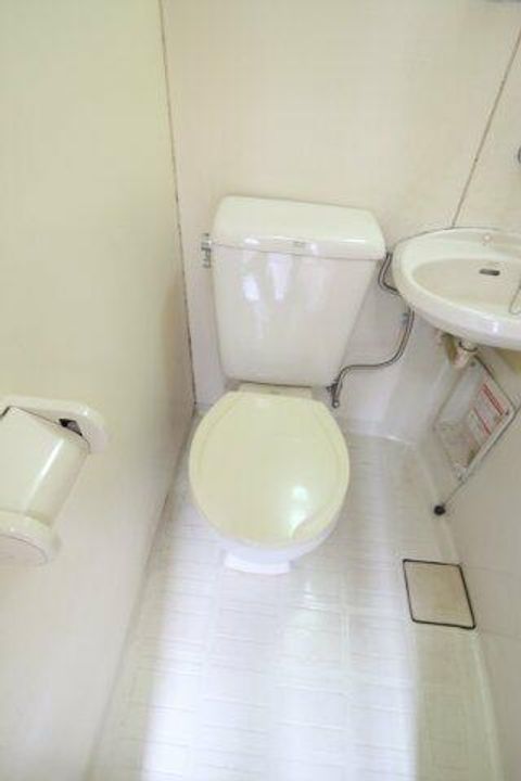 アルカディアの内装