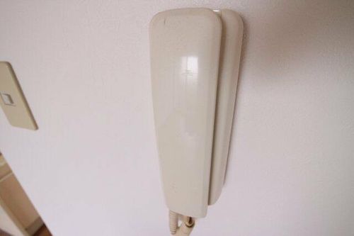 アルカディアのその他画像