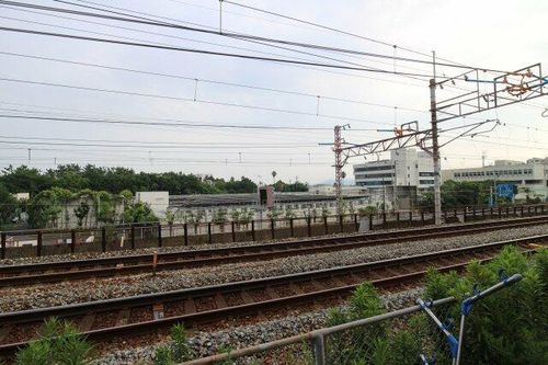 アルカディアのその他画像