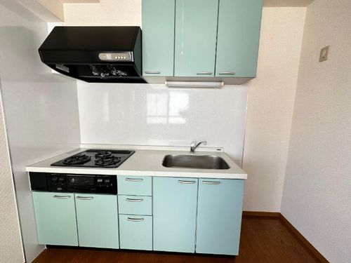 ハイリスベーネ池下F-3のキッチン