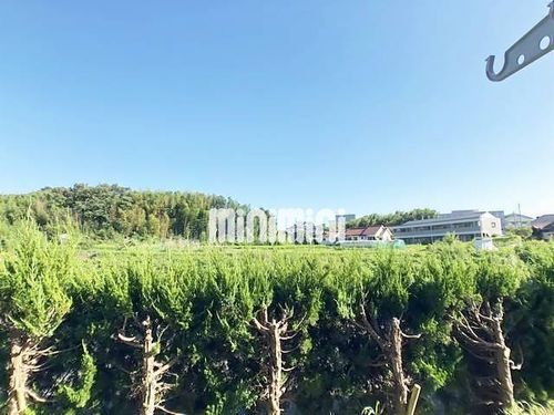 エステートピア浅井Ⅲのその他画像