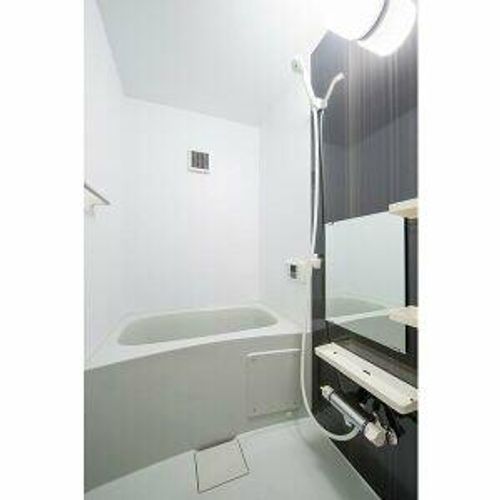 ステラ川西201の風呂