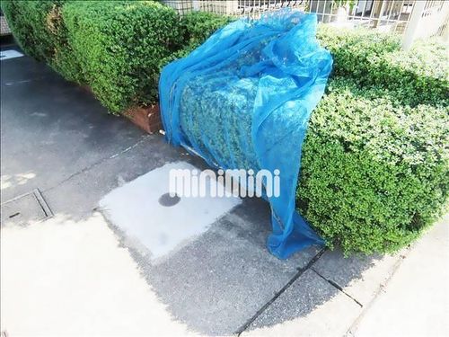 ロイヤルハイツ日和のその他画像