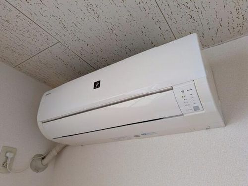 グロリオーサ園のその他画像