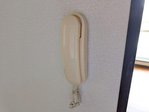 グロリオーサ園のその他画像
